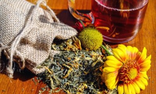 寻骨风中药什么作用-【寻骨风药用部位】寻骨风的入药部位 - 寻骨风 药理作用网
